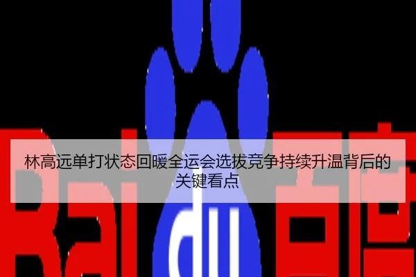 林高远单打状态回暖全运会选拔竞争持续升温背后的关键看点