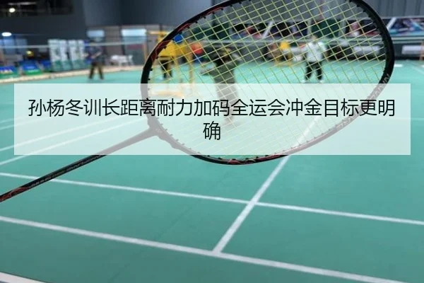 孙杨冬训长距离耐力加码全运会冲金目标更明确